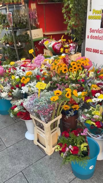 A colourful flower stand from Ingrid's visual diary